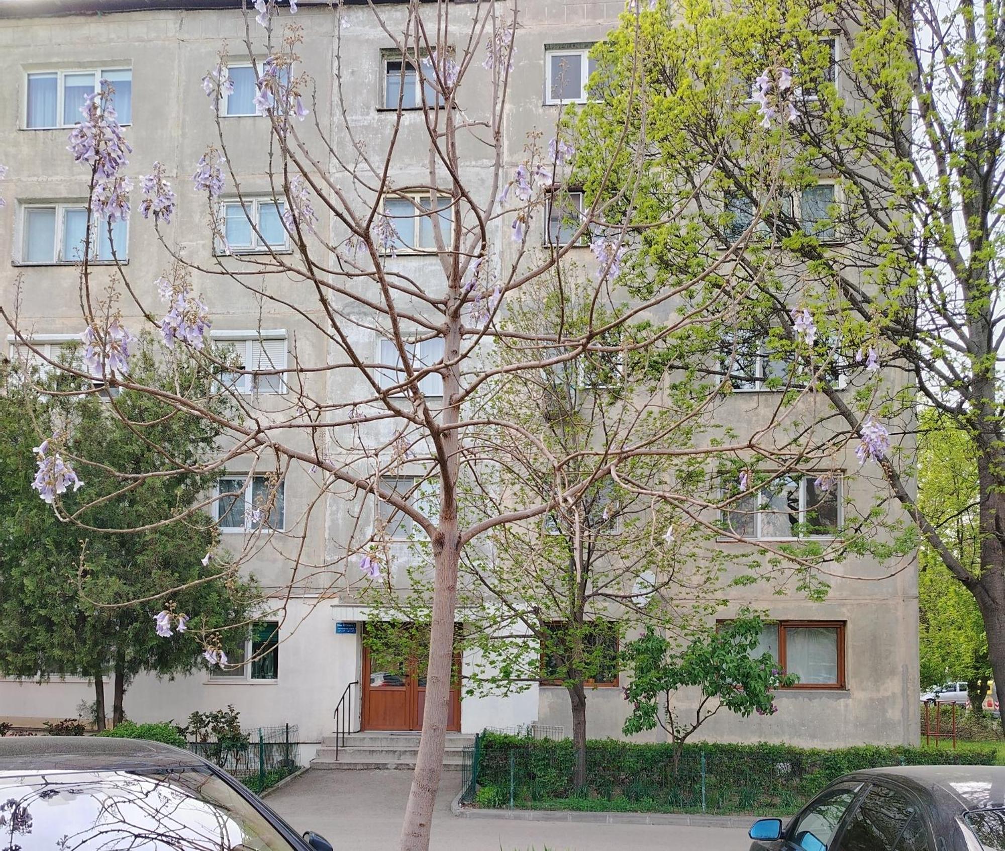 Arka Apartment Craiova Buitenkant foto
